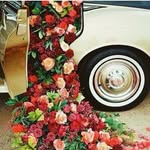 Da Vinci логотип